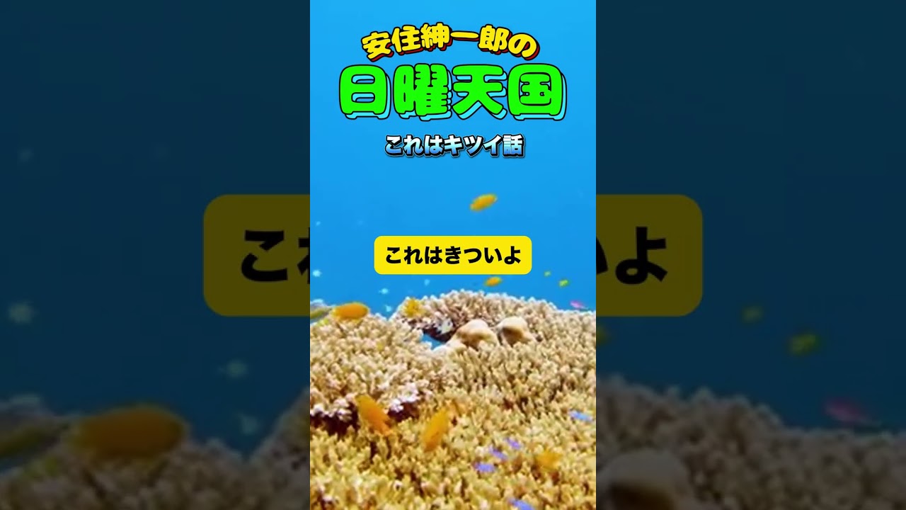 これはキツい話🤣#すべらない話 #安住紳一郎の日曜天国 #日曜天国