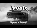 Levels [Slowed + Reverb] || Sidhu Mose Wala || Attitude remix🥀 Bass Boosted🎵