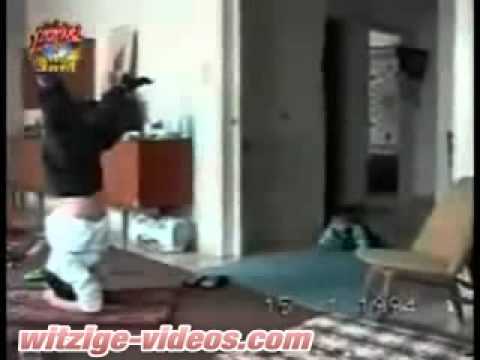 ÐºÑ „Ñ Ð ± ол Ñ NOE d² пинÐμ Die Katze geschwollene Gelenke