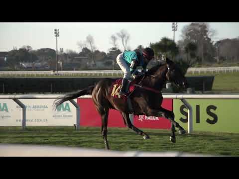 230813 c07 Hcp. Panamá/ POSIBLE SUEÑO