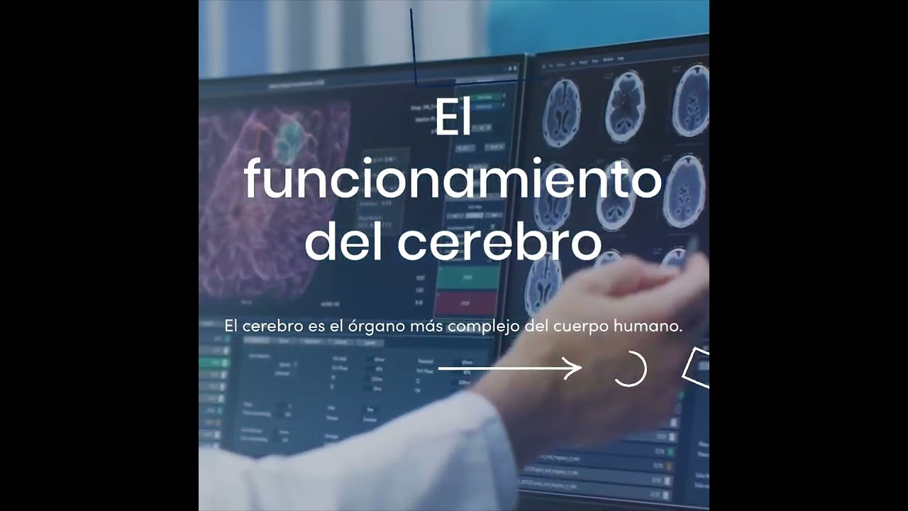 Julian Alberto Celedon Suarez-9