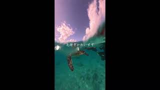 イケメンパラダイス　宮古島