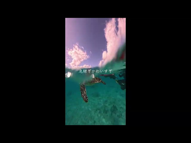 イケメンパラダイス　宮古島