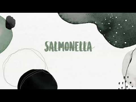 , title : 'SALMONELLA - DAMARYS MELINA CEVALLOS DE LA O  - MEDICINA VETERINARIA 3''A'''