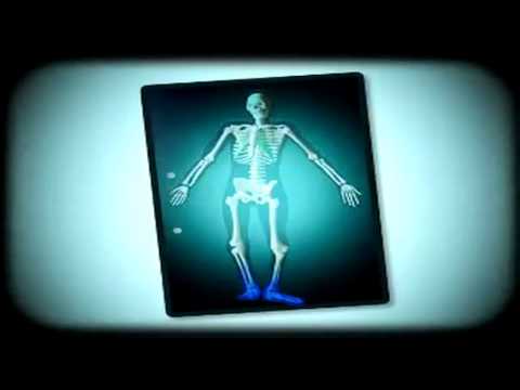 yamaha scape ordinary