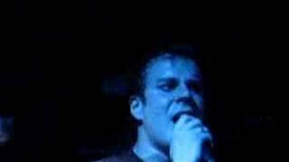 still remains live milano stay captive (atreyu)