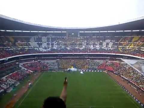 "Mejor que las putas â™ª La Rebel de Pumas â™¥" Barra: La Rebel &bull; Club: Pumas