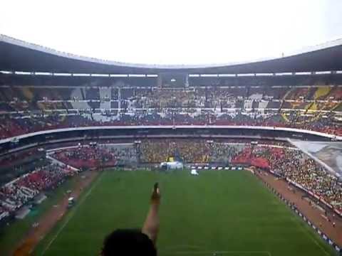 "Mejor que las putas â™ª La Rebel de Pumas â™¥" Barra: La Rebel • Club: Pumas