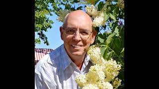 Lilacs