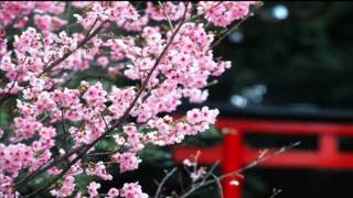 One Wish - Hiroshima [HQ AUDIO] ~PLEASE SUPPORT JAPAN~