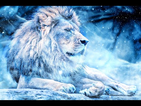 Deep Healing I AM Affirmations: Sovereignty, Inner Power, Courage, Freedom, LOVE, and Awakening