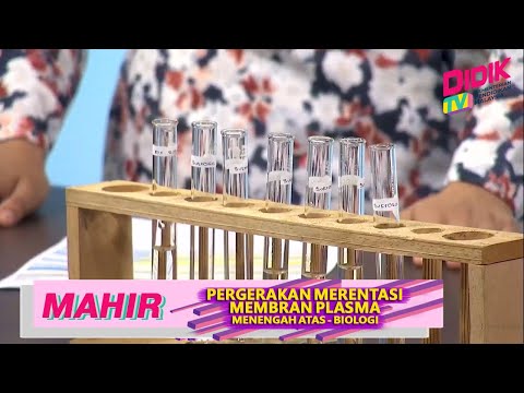 Mahir (2021) | Menengah Atas : Biologi, Kemahiran Saintifik - Pergerakan Merentasi Membran Plasma
