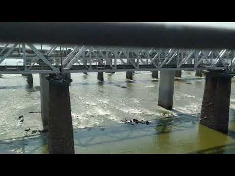 नर्मदा मैया | Narmada maiya @Nature