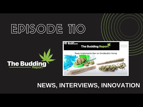 TBR110|Smokable Hemp - Joe Biden and Kamala Harris Announcement with Chris Perri & Grace Delgado
