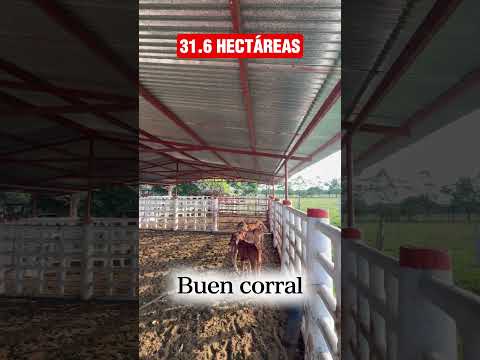 🍃(SE VENDE)🍃ESTÁ BONITA FINCA🍃Información al WhatsApp: (+57) 310 355 8414🍃