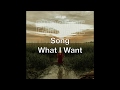 Carrie Akre - What I Want (Official Lyric Video)