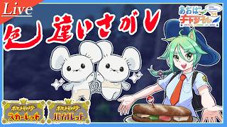 色ワッカネズミ100匹目指す①【ポケモンSV】