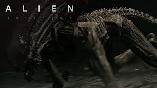 Alien: Covenant | The Secrets of David’s Lab: The Xenomorph | 20th Century FOX