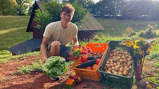 Life In The Countryside - 20 Peaceful Days Of Farming