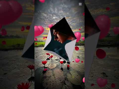 Zhang Zhehan and the people in this world named Zhang Zhehan today, 15 around the 👍👏🥰🙋