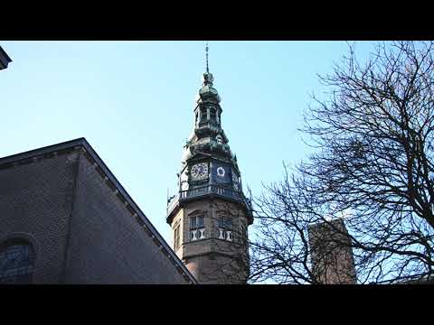 Verenigingslied Gerardus van der Leeuw | Carillon Rijksuniversiteit Groningen | 03-11-2020