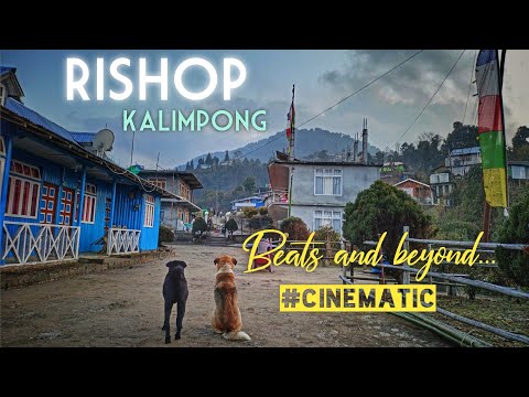 RISHOP - রিশপ / RISHYAP LAVA LOLEGAON TOUR / #KALIMPONG  SUNTEC ECO RESORT  #RISHOP TRIP #cinematic
