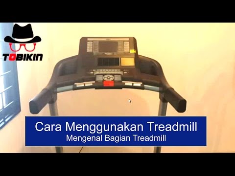 Latihan untuk gym bagi perempuan untuk membakar lemak Guppy betina menurunkan berat badan