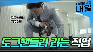 반려동물 천만 시대, 블루오션으로 뜨는 이색 직업 '도그핸들러'가 하는 일ㅣ반려동물 자격증ㅣ1급 훈련사, 핸들러 사범ㅣ#EBS직업탐구