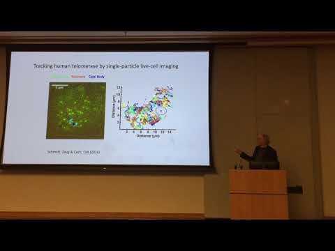 Thomas Cech, PhD, On Telomeres