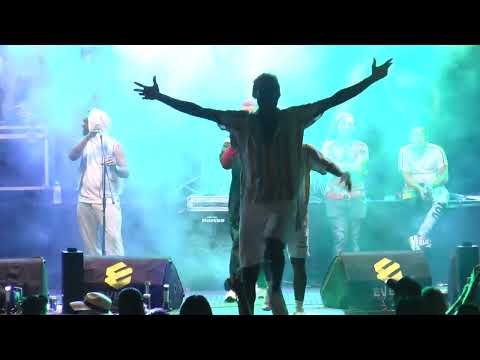 DOGAR DISC CONCIERTO PTO WILCHES