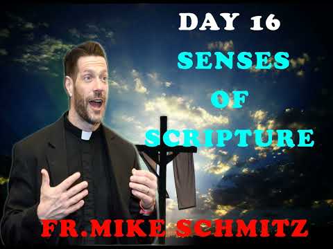 Day 16 Senses of Scripture - The Catechism in a Year (with Fr. Mike Schmitz)