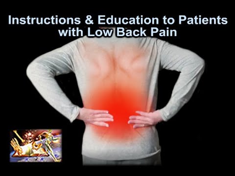 Instructions & Education for Low Back Pain patients -Everything You Need To Know -Dr. Nabil Ebraheim