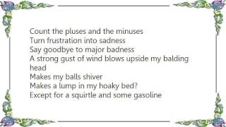 Lambchop - The Old Fat Robin Lyrics