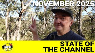 State of the Channel   November 2025