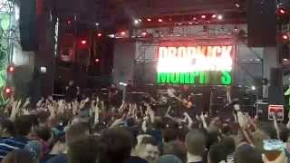 Dropkick Murphys - Intro + The Boys Are Back @ Live Budapest Park 2014 (Hungary)