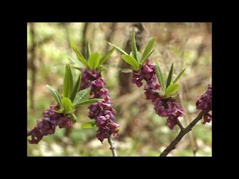 Gospodarstwo Rolno Agroturystyczne Agro Klub 2005