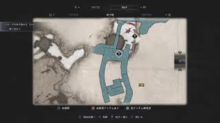 #10逃げ惑うダエプのバイオハザード8