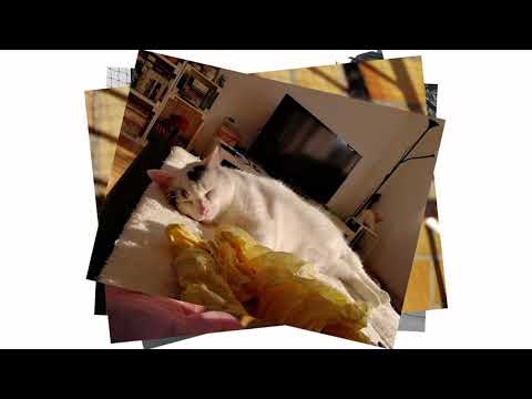 Fehlendes ENDE von "Sammel(urlaubs) HAUL ohne Preise dafür mit Geplauder"