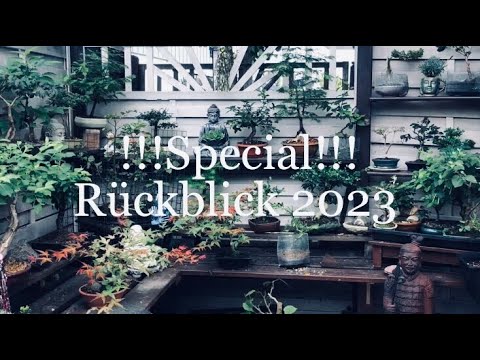Spezial Bonsai Rückblick 2023 Made by Captain Chaos 😜🤣Bonsai oder Kleinholz 2023-34