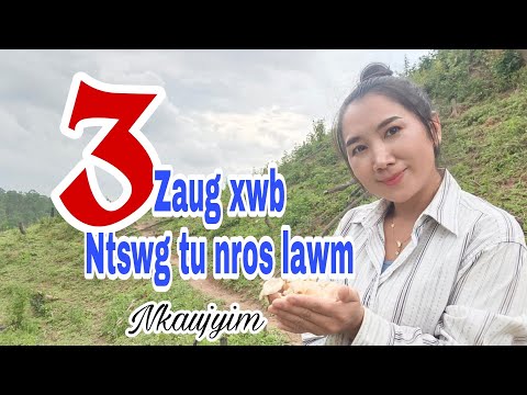 Khaub thua lo ntswg noj tshuaj npaum cas lo tsi zoo li