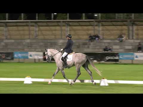 Leste d'Atela - FIPSL 2019 - Projecto para Cavalos Lusitanos Jovens no Ensino (2)