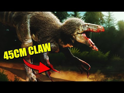 Megaraptora | What makes these Dinosaurs so Mysterious?