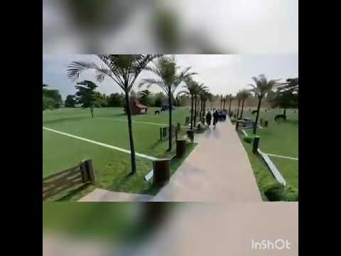 Chácara à venda e para alugar 20800m2 em Ilhéus por R$157.000 imagem 1