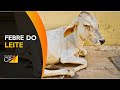 Curso Administração da Pequena Empresa Rural