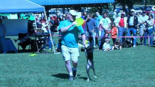 preview picture of video 'Bark In The Park 2011'