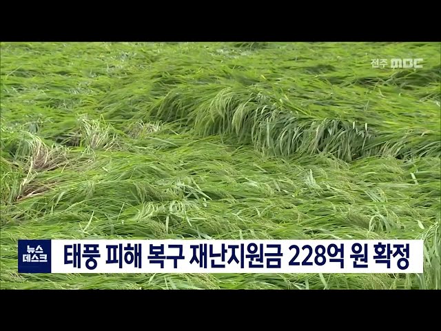 태풍 피해 복구 재난지원금 229억 원 확정