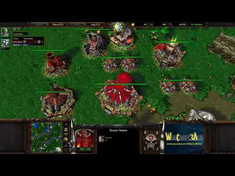 TH000(HU) vs Fly(ORC) - WarCraft 3 Frozen Throne - RN4105