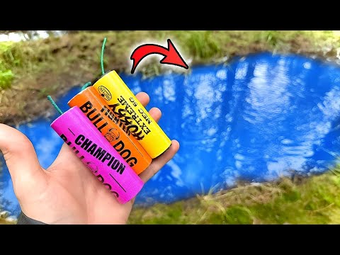 Interruption during the Polish firecracker comparison in the puddle...!