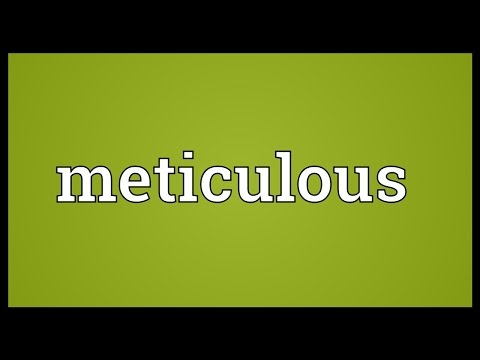 Meticulous Meaning