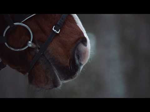 Electrolux Made for Wool